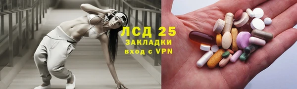 кокс Аркадак