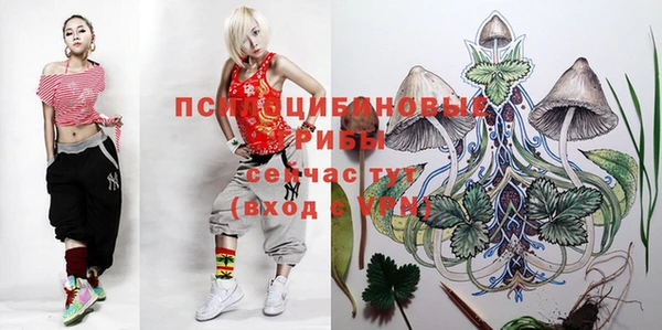 мдпв Арсеньев