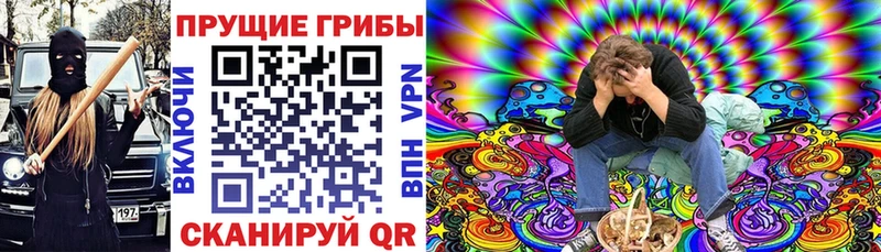 Псилоцибиновые грибы Psilocybine cubensis  Черемхово 